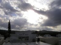 Afternoon sun