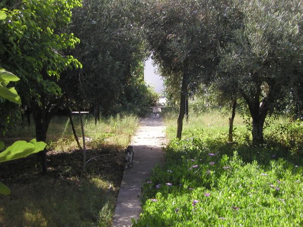 The Garden of Villa Erofili