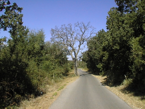Road